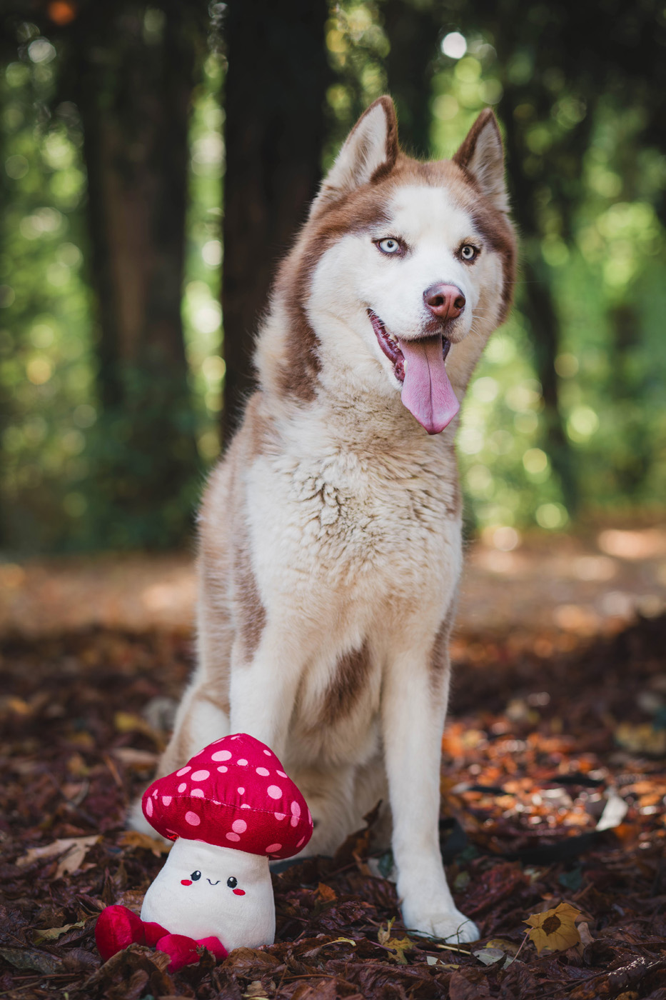 Manon Knasko Photographies